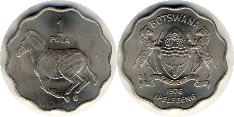 Botswana coin
